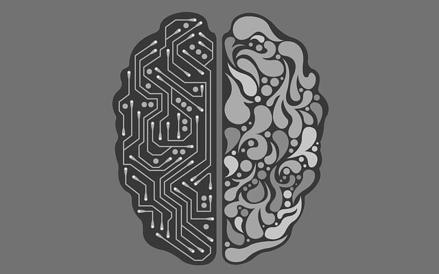 Illustration of tech-board and decorative brain halves.