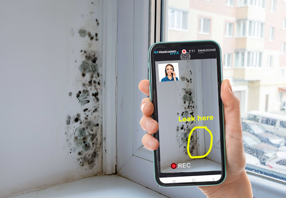 remote visual assistance survey of mould in social housing sector